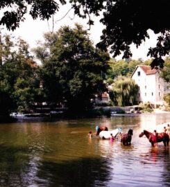 Association de Sauvegarde de Montigny et son Environnement (A.S.M.E.)