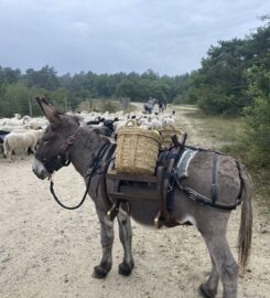 L’Ânerie Bacotte