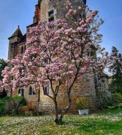 Société d’Histoire du Châtelet-en-Brie