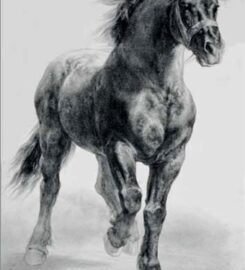 Les Amis de Rosa Bonheur